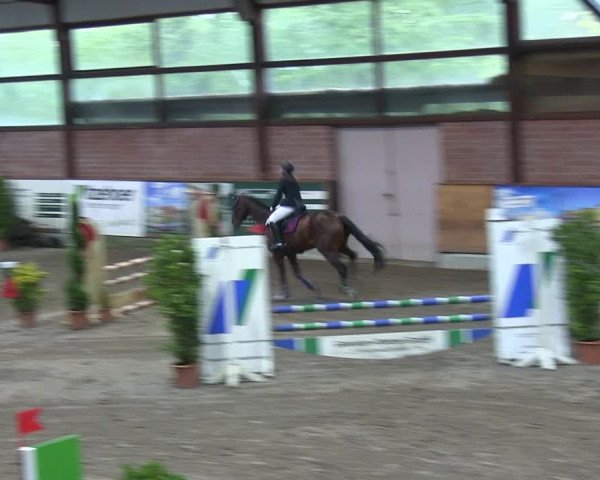 Reitturnier Hamburg-Friedrichshulde 2018