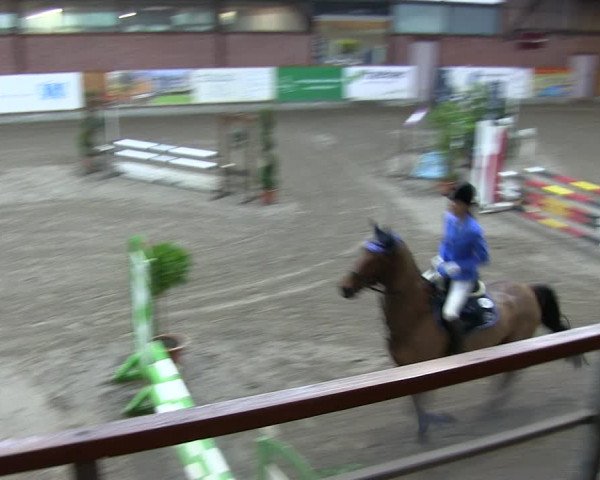 Reitturnier Hamburg-Friedrichshulde 2018