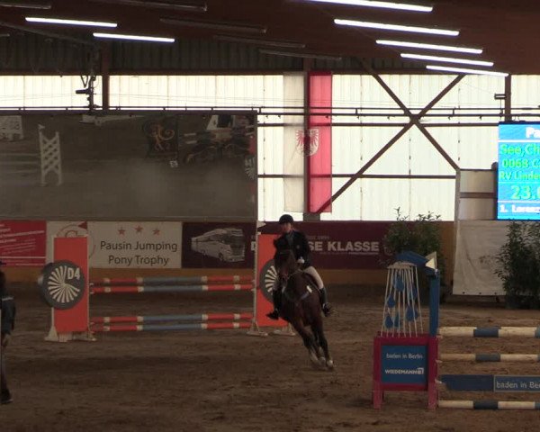 Reitturnier Pausin 2018