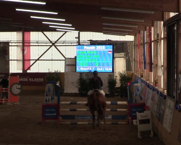 Reitturnier Pausin 2018