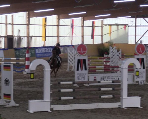 Reitturnier Pausin 2018