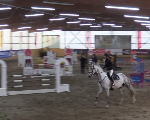 Reitturnier Pausin 2018