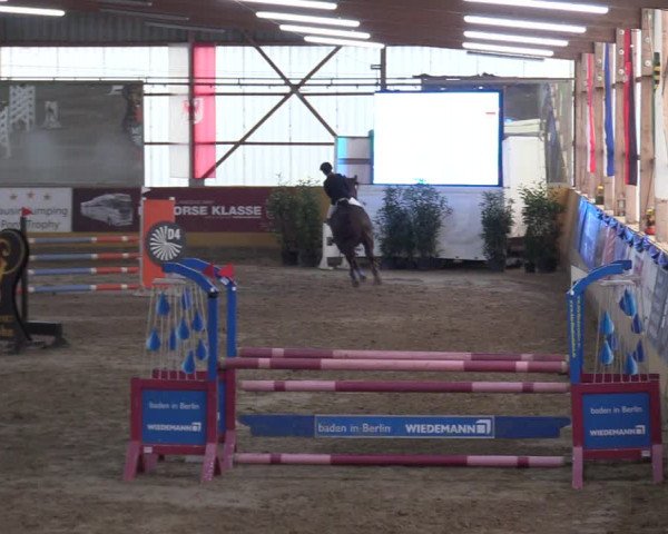 Reitturnier Pausin 2018
