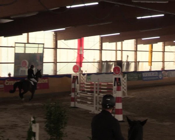 Reitturnier Pausin 2018