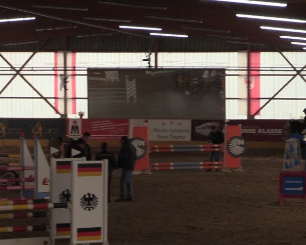 Reitturnier Pausin 2018