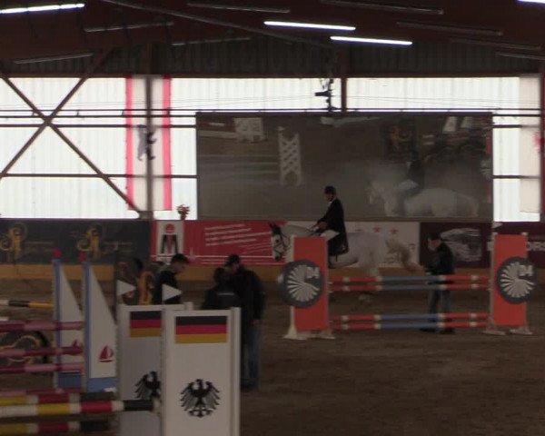 Reitturnier Pausin 2018