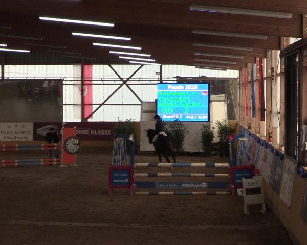Reitturnier Pausin 2018