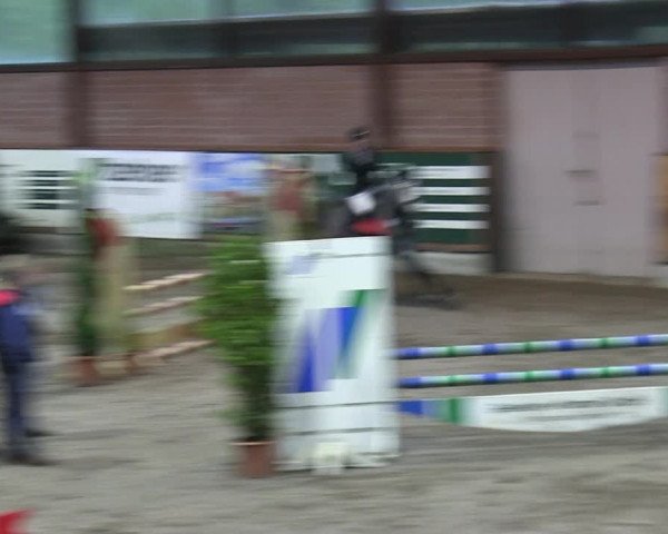 Reitturnier Hamburg-Friedrichshulde 2018