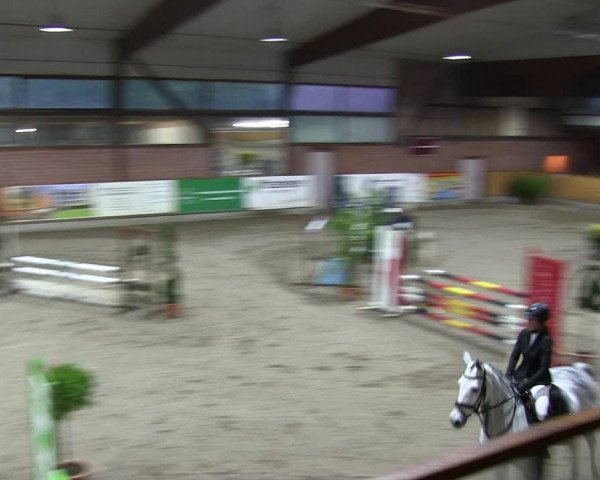 Reitturnier Hamburg-Friedrichshulde 2018