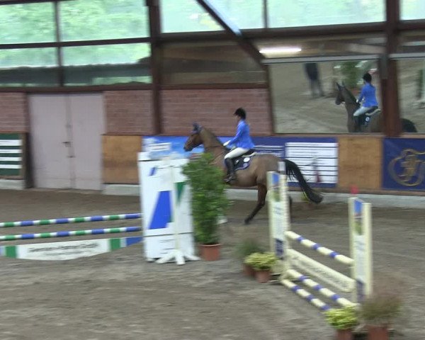 Reitturnier Hamburg-Friedrichshulde 2018
