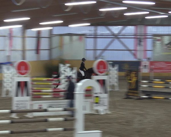 Reitturnier Pausin 2018