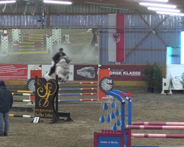 Reitturnier Pausin 2018