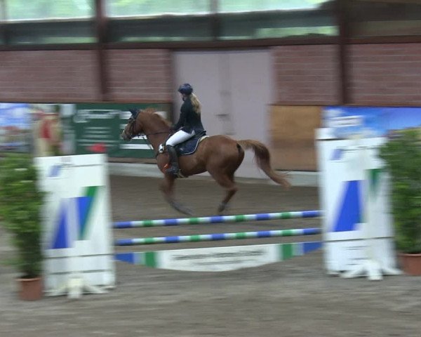 Reitturnier Hamburg-Friedrichshulde 2018