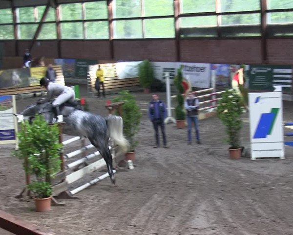 Reitturnier Hamburg-Friedrichshulde 2018