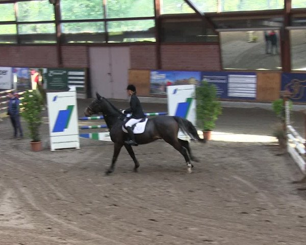 Reitturnier Hamburg-Friedrichshulde 2018