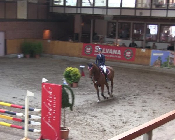 Reitturnier Hamburg-Friedrichshulde 2018