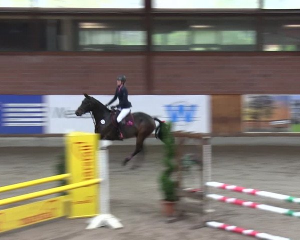 Reitturnier Hamburg-Friedrichshulde 2018