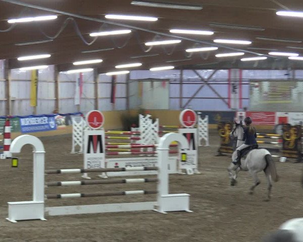 Reitturnier Pausin 2018