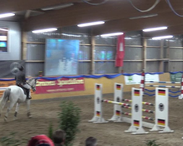 Reitturnier Pausin 2018