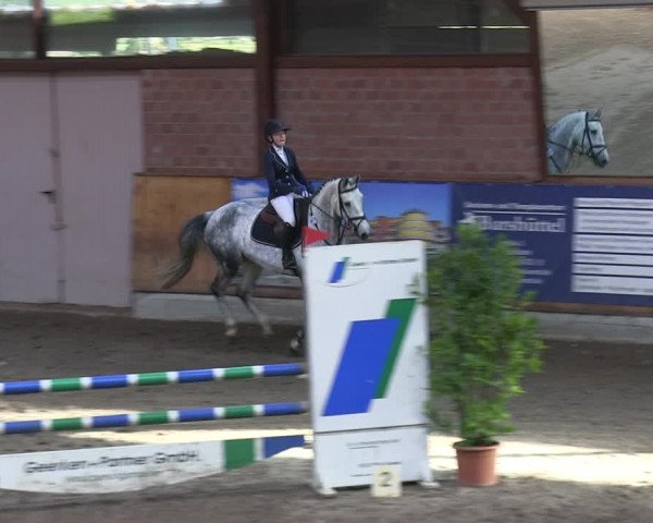 Reitturnier Hamburg-Friedrichshulde 2018