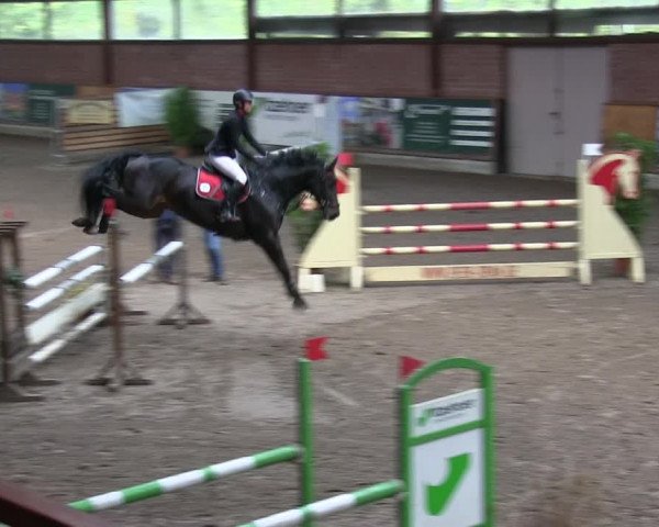 Reitturnier Hamburg-Friedrichshulde 2018