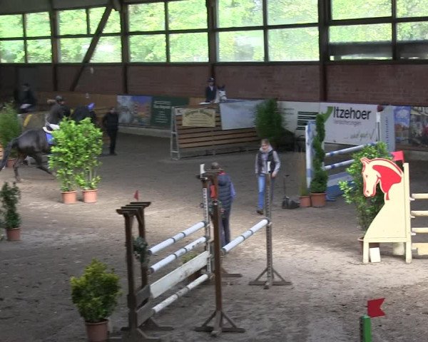 Reitturnier Hamburg-Friedrichshulde 2018