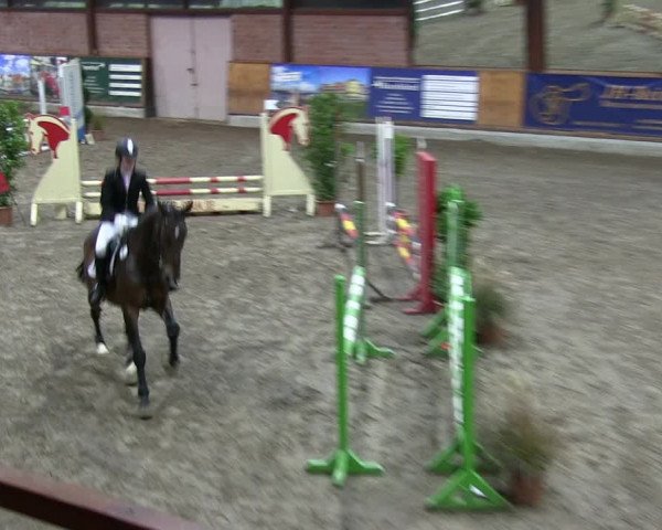 Reitturnier Hamburg-Friedrichshulde 2018