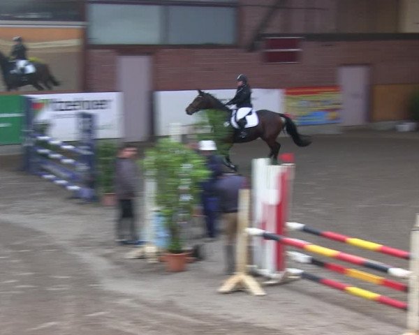 Reitturnier Hamburg-Friedrichshulde 2018