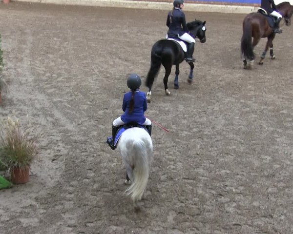 Reitturnier Hamburg-Friedrichshulde 2018