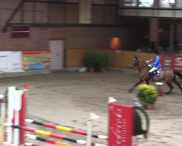 Reitturnier Hamburg-Friedrichshulde 2018