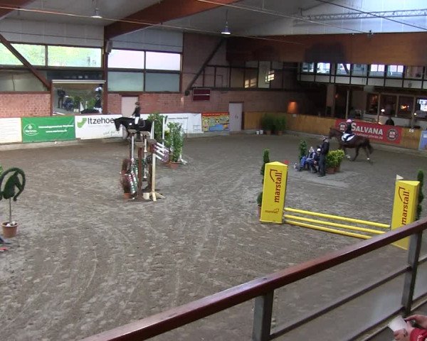 Reitturnier Hamburg-Friedrichshulde 2018
