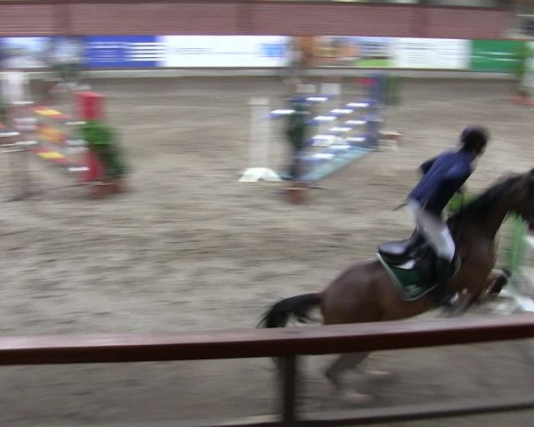 Reitturnier Hamburg-Friedrichshulde 2018