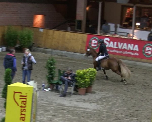Reitturnier Hamburg-Friedrichshulde 2018
