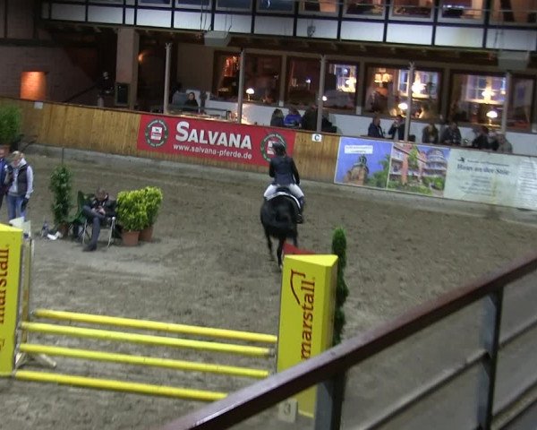Reitturnier Hamburg-Friedrichshulde 2018