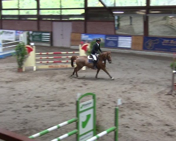 Reitturnier Hamburg-Friedrichshulde 2018