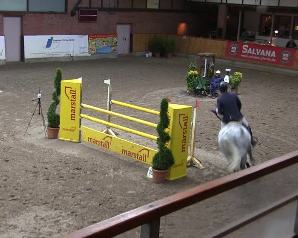 Reitturnier Hamburg-Friedrichshulde 2018