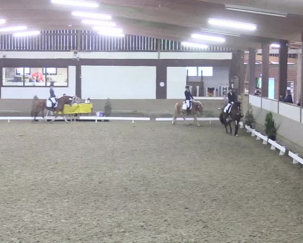 Reitturnier Vlotho-Valdorf 2018