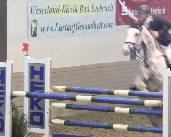 Reitturnier Vlotho-Valdorf 2018