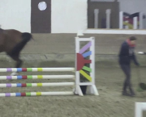 Reitturnier Vlotho-Valdorf 2018