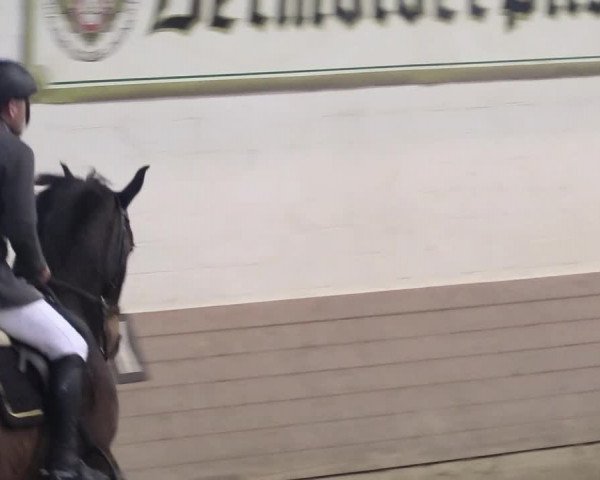 Reitturnier Vlotho-Valdorf 2018