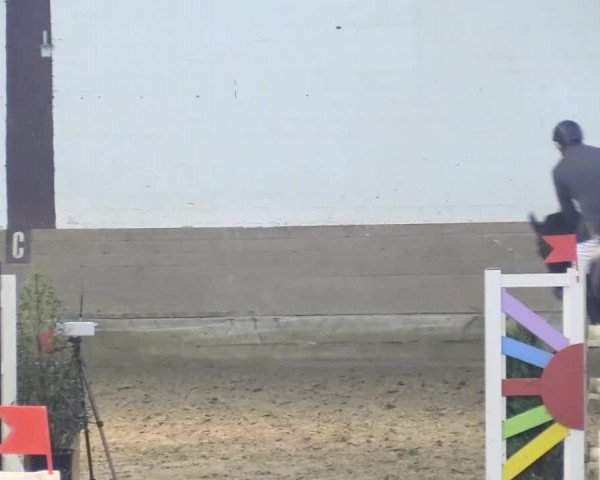Reitturnier Vlotho-Valdorf 2018