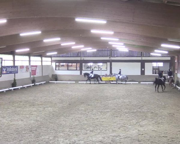 Reitturnier Vlotho-Valdorf 2018