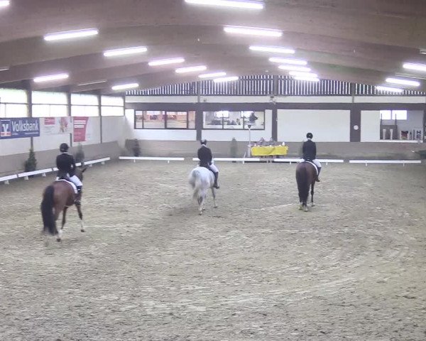 Reitturnier Vlotho-Valdorf 2018