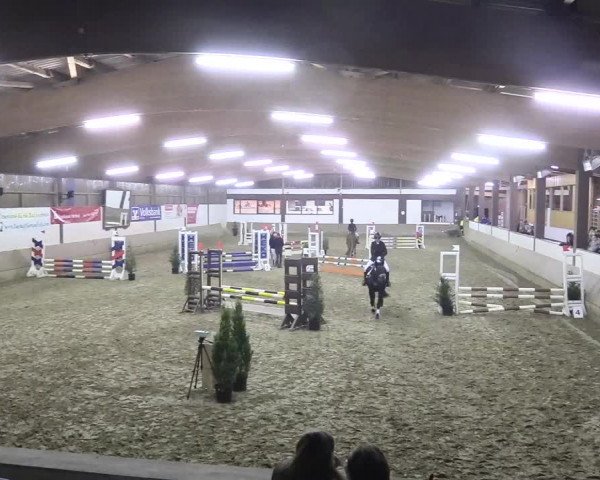 Reitturnier Vlotho-Valdorf 2018