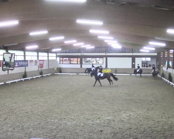 Reitturnier Vlotho-Valdorf 2018