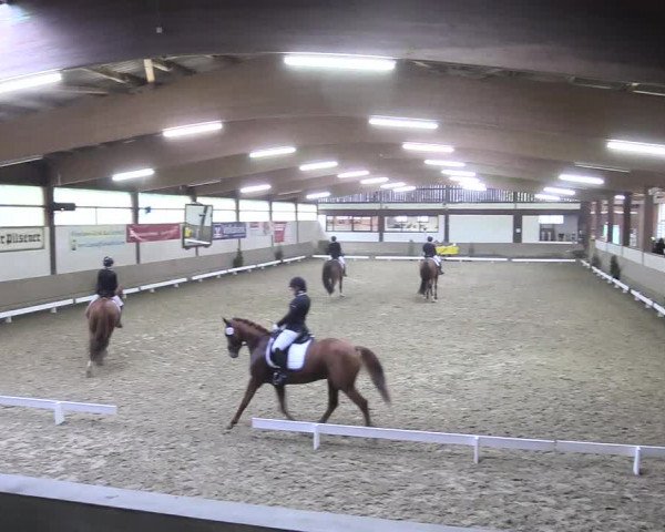 Reitturnier Vlotho-Valdorf 2018