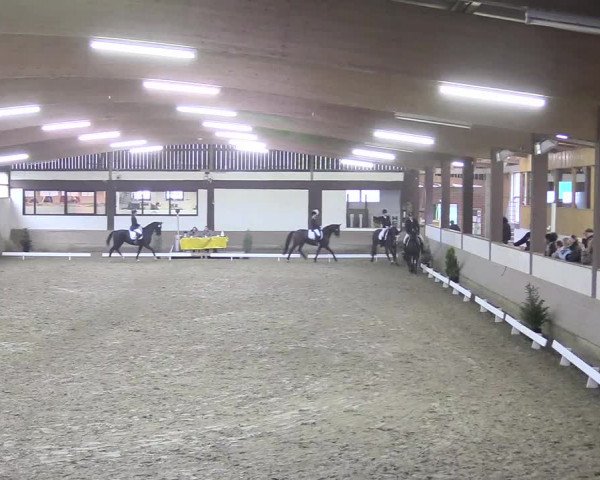 Reitturnier Vlotho-Valdorf 2018