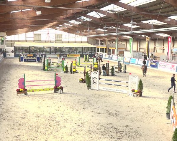 Pferdesporttage Oberriet 2018