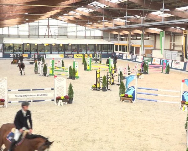 Pferdesporttage Oberriet 2018
