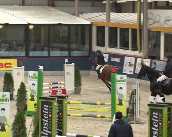 Pferdesporttage Oberriet 2018